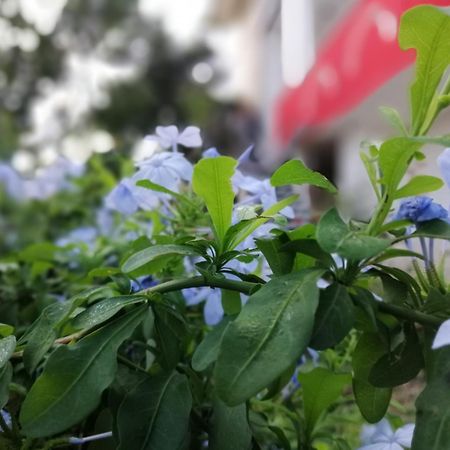 B&B Sa Scraria Meana Sardo 外观 照片